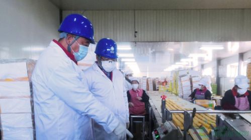 河北石家庄供电公司 暖心服务助力扶贫微工厂 谱写乡村振兴新篇章