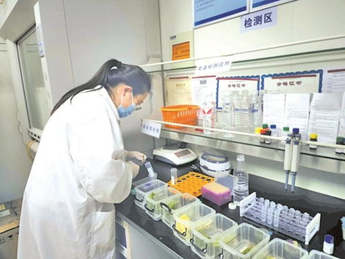 无锡农贸市场实现快检全覆盖，上半年检测90多万批次合格率超99%